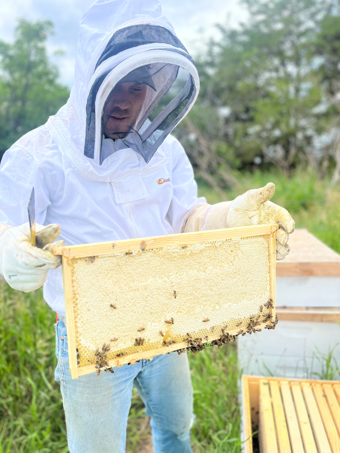 Regenerative Honey & Unfiltered - Quart Jar