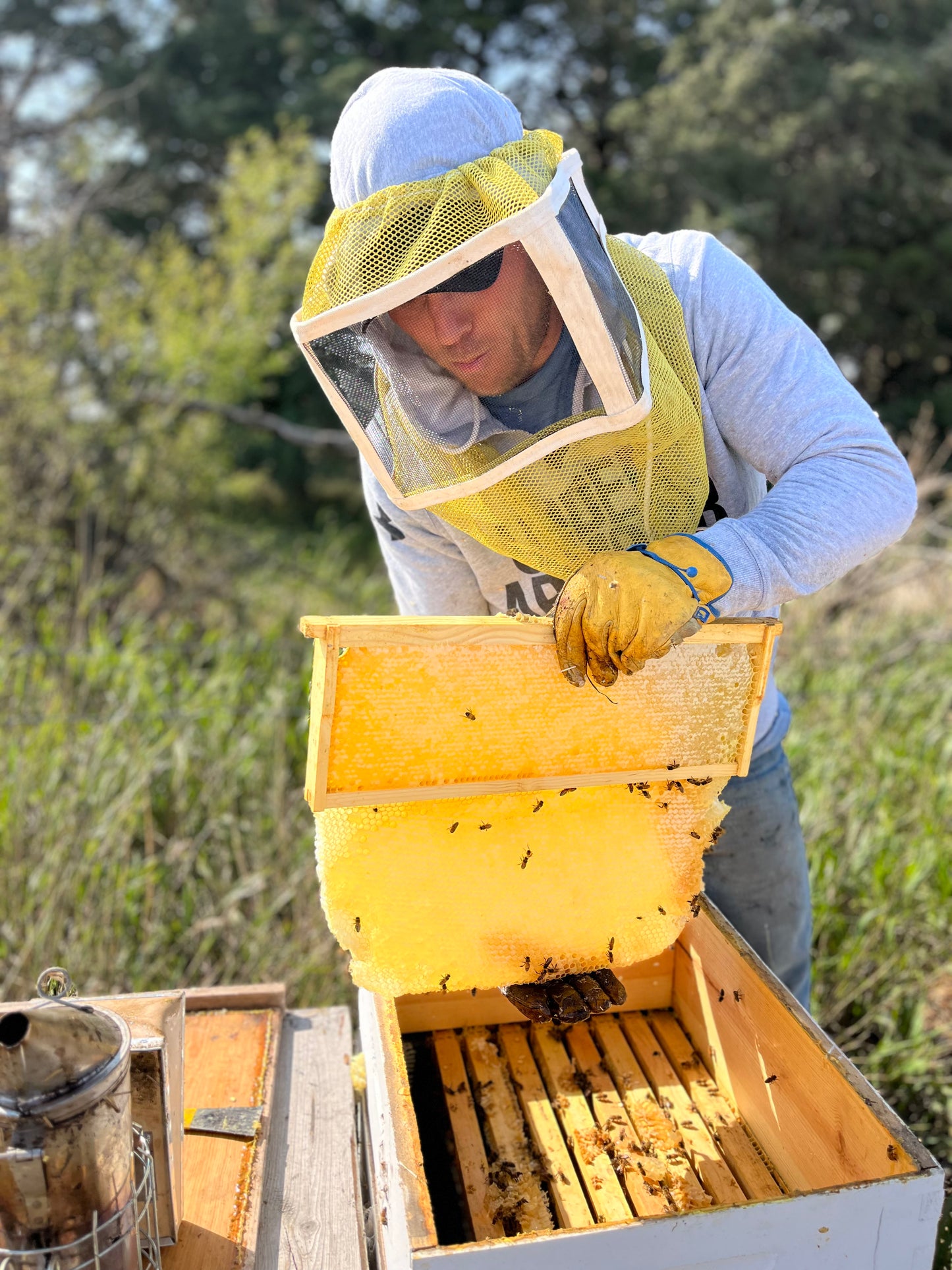 Regenerative Honey & Unfiltered - 1 Gallon