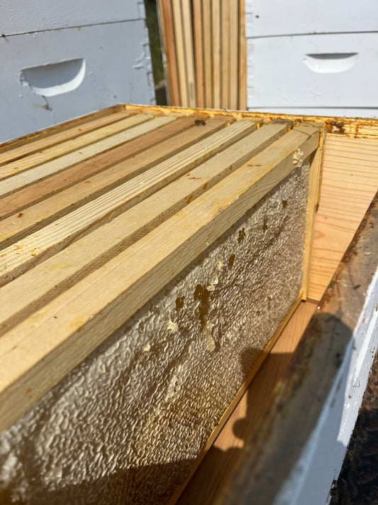 Regenerative Honey & Unfiltered - 12oz Jar