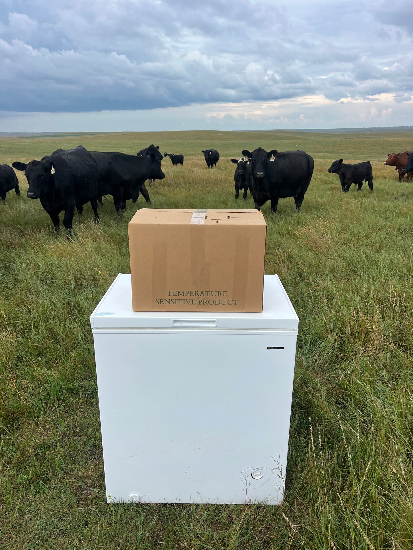 The Ultimate 25 lb Grass-Fed Burger Box - FREE SHIPPING