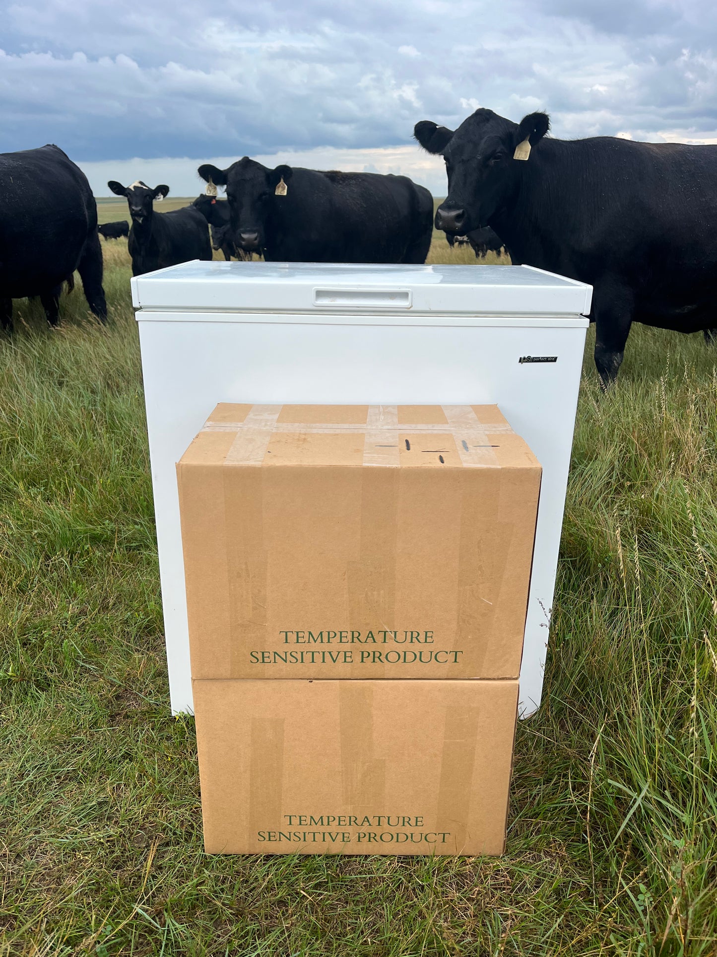 The Ultimate 25 lb Grass-Fed Burger Box - FREE SHIPPING